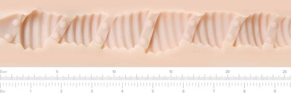 Asia Akira Fleshlight Dragon - Intérieur