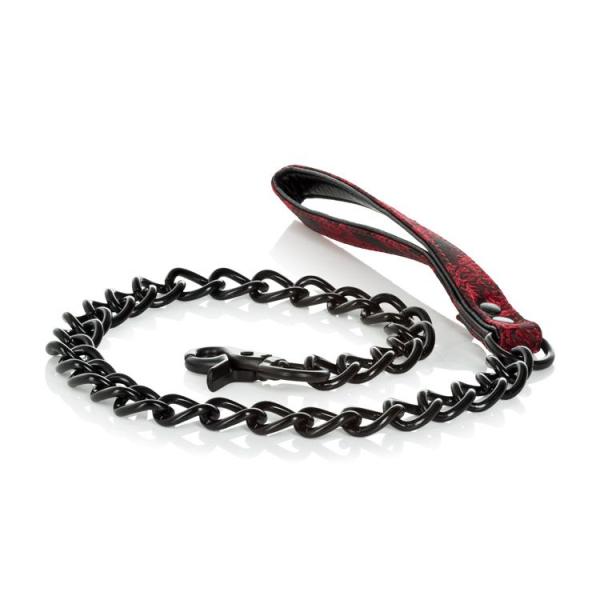 Leash - Scandal - Laisse