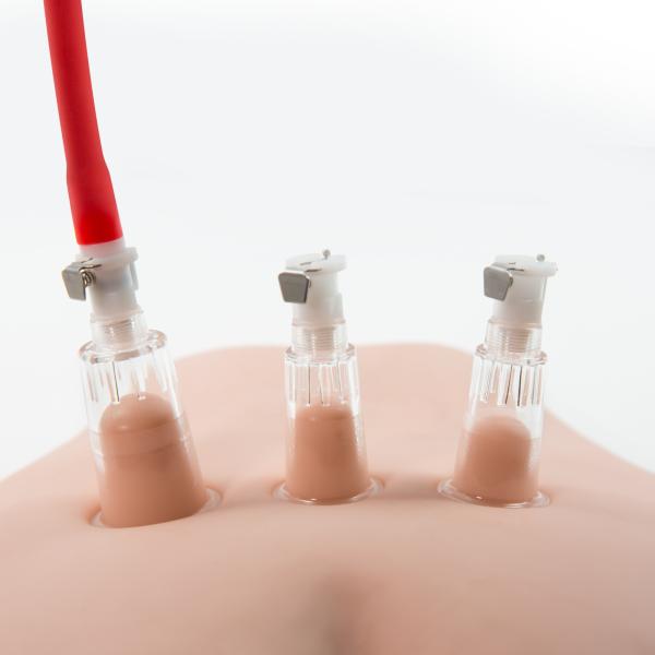 Clitoris and Nipple Pleasure and Enhancement Pump System - Pompe Clitoridienne/Mamelons -Temptasia – Image 5