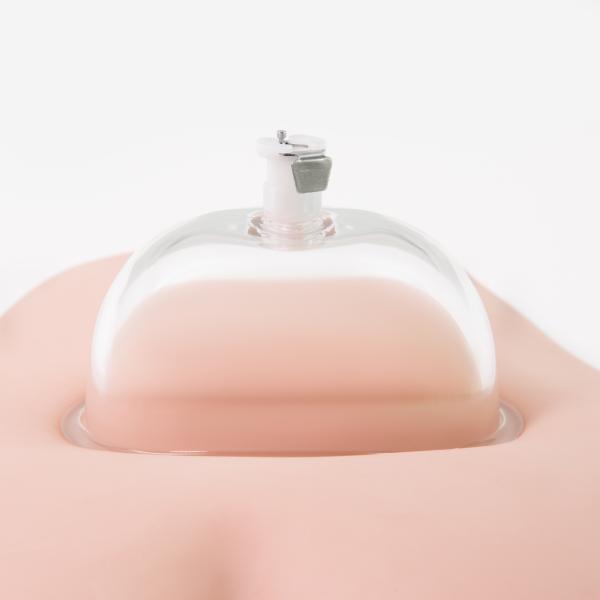 Intense Pussy Pump System - Temptasia