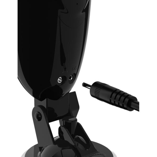 Dirty Talk Starter Stroker - PDX Elite