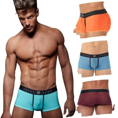 Boxer Ajusté TORRIDZ - 87465 - GREGG HOMME