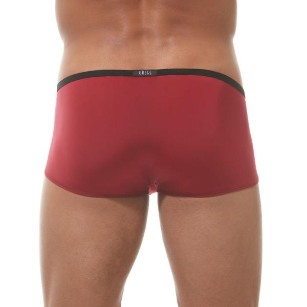 Boxeur Ajusté - Voyeur - 100605 - GREGG HOMME – Image 8