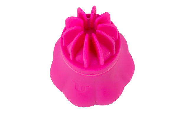 Caress - Masseur Clitoridien Rechargeable - Adrien Lastic – Image 6