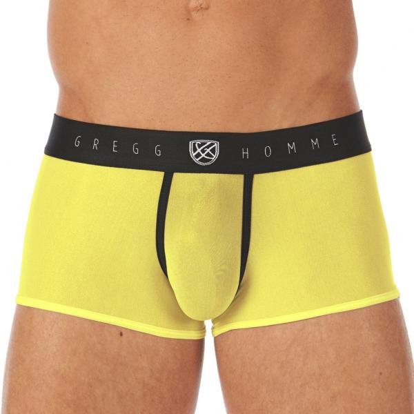 Boxer Ajusté TORRIDZ - 87465 - GREGG HOMME – Image 18