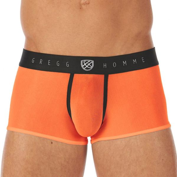Boxer Ajusté TORRIDZ - 87465 - GREGG HOMME – Image 13