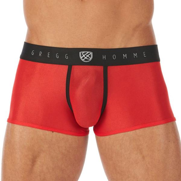 Boxer Ajusté TORRIDZ - 87465 - GREGG HOMME – Image 15