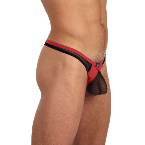 Tanga - X-Rated Maximizer - 85004 - GREGG HOMME – Image 3