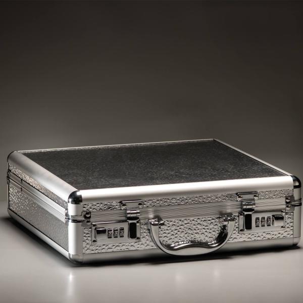 Secret 1 - Valise a Jouets Sexuels - DildoCase – Image 8