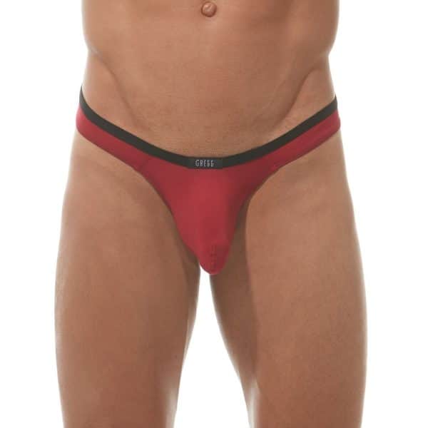 Tanga - Voyeur - 100604 - GREGG HOMME – Image 4