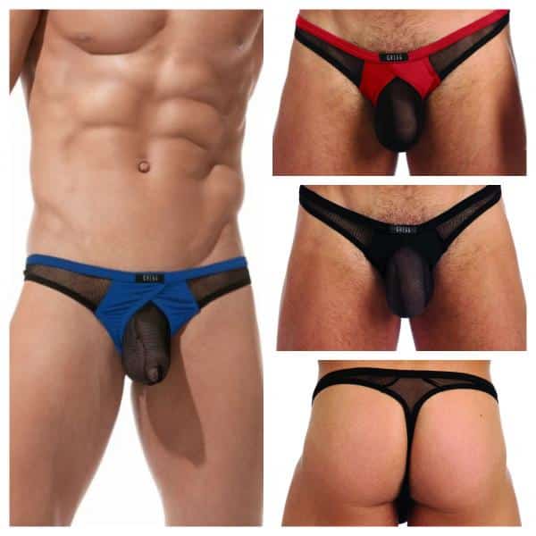 Tanga - X-Rated Maximizer - 85004 - GREGG HOMME