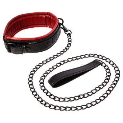Collar and Leash Saffron - Collier et Laisse - Sportsheets