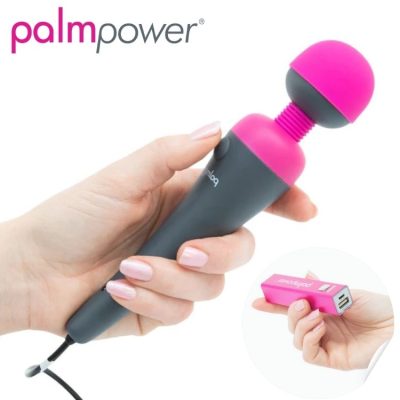 vibromasseur PalmPower Plug & Play