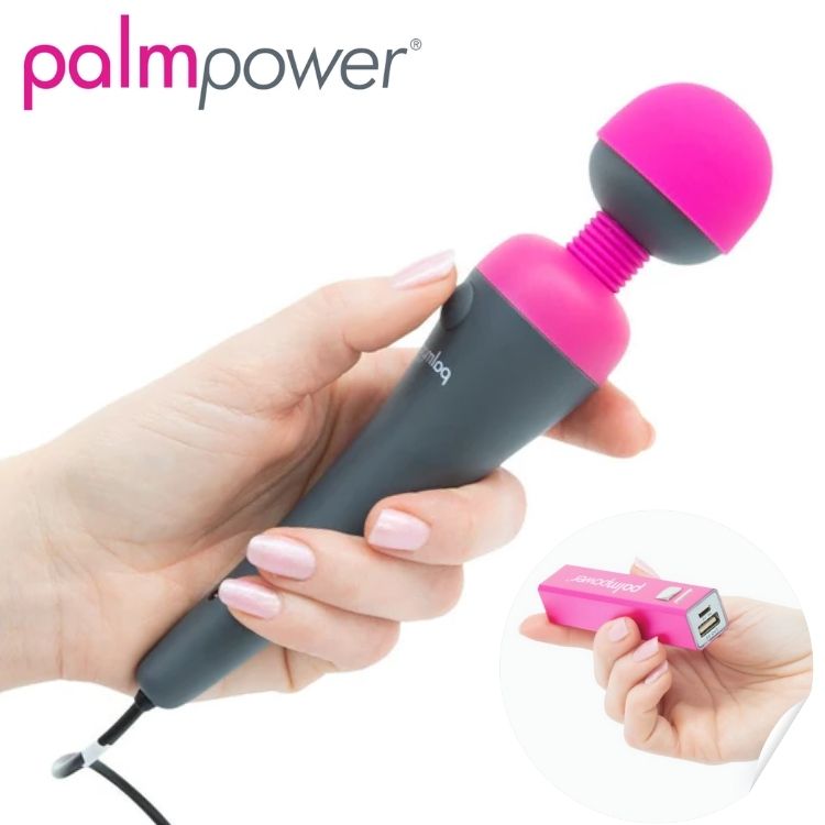 vibromasseur PalmPower Plug & Play