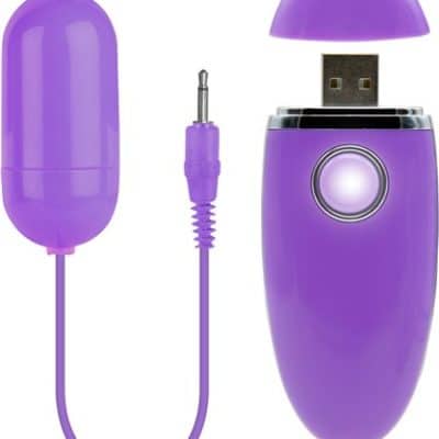 Persist - Coco Vibrant avec Manette Rechargeable
