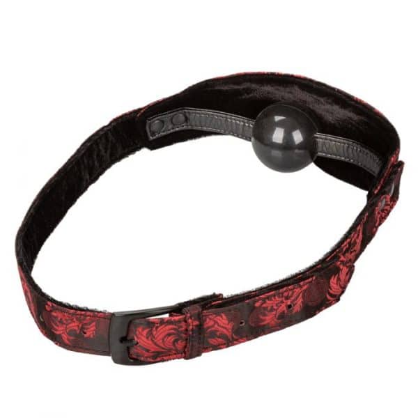 Hidden Pleasure Ball Gag - Bâillon - Scandal
