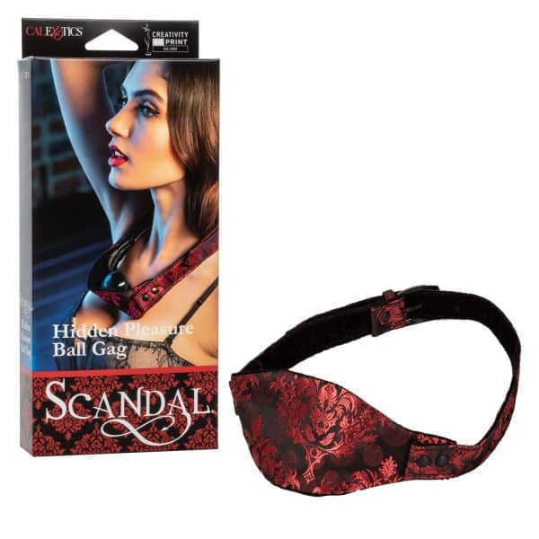 Hidden Pleasure Ball Gag - Bâillon - Scandal