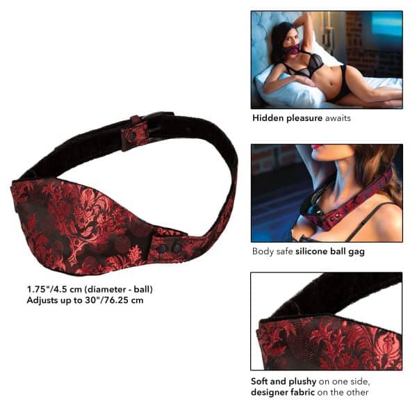 Hidden Pleasure Ball Gag - Bâillon - Scandal – Image 2
