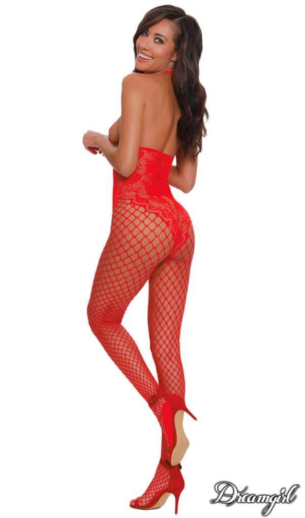 Bodystocking Style Teddy - 0268 - Dreamgirl – Image 5