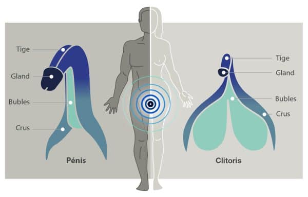 Ion - Arcwave - Stroker with Pleasure Air - Masturbateur Sonique – Image 9