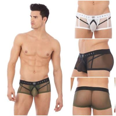 Boxer - Erupt - 140005 - GREGG HOMME