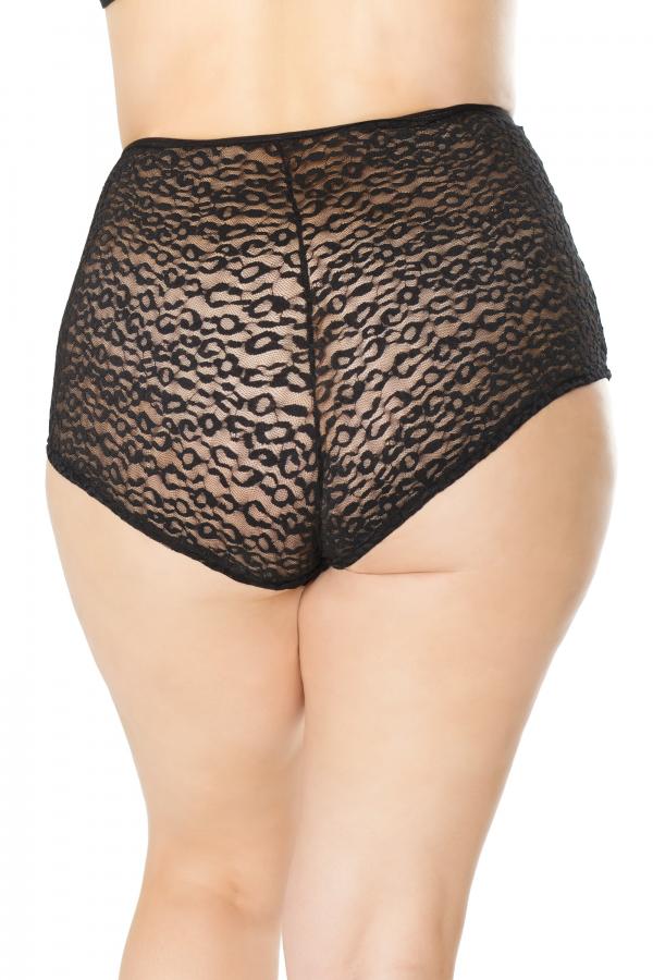 Booty Short Taille Haute avec Zipper - 21136x - Coquette – Image 2