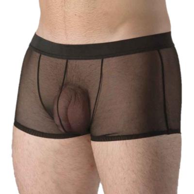 Boxer en Maille Transparente - 3339 - Fagioni