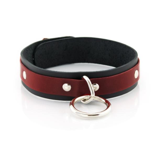 1 Ring Slave Collar - Collier en Cuir - XBliss – Image 5