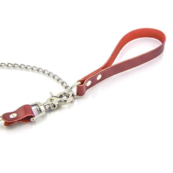 Standard Leash - Laisse - XBliss – Image 8