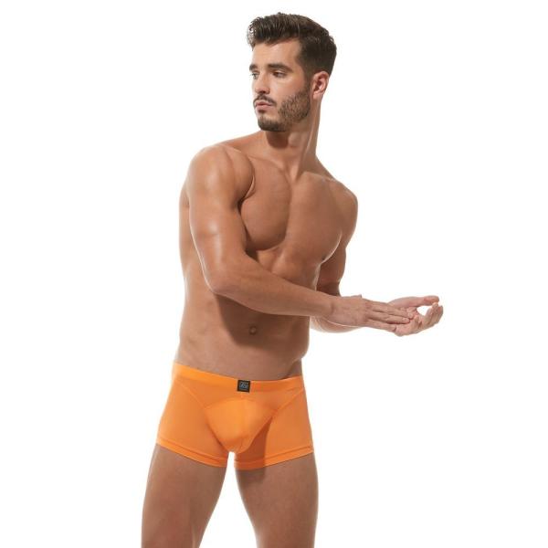 Boxeur Ajusté - Wonder - 96105 - GREGG HOMME – Image 9