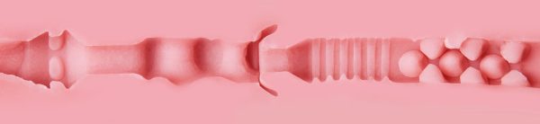 Classic Pink Lady - Heavenly - Fleshlight