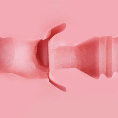 Classic Pink Lady - Heavenly - Fleshlight