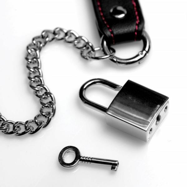 Kinky Clutch - Ensemble BDSM - Master Series – Image 6