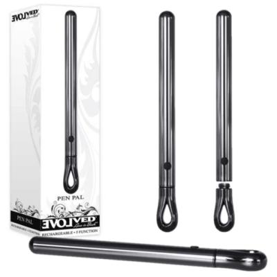 Pen Pal - Masseur Clitoridien Rechargeable - Evolved
