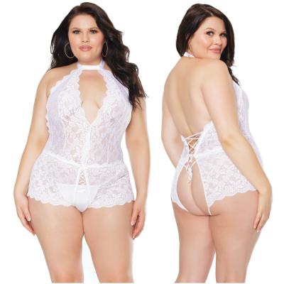 Teddy - 22125X - Grande Taille - Coquette