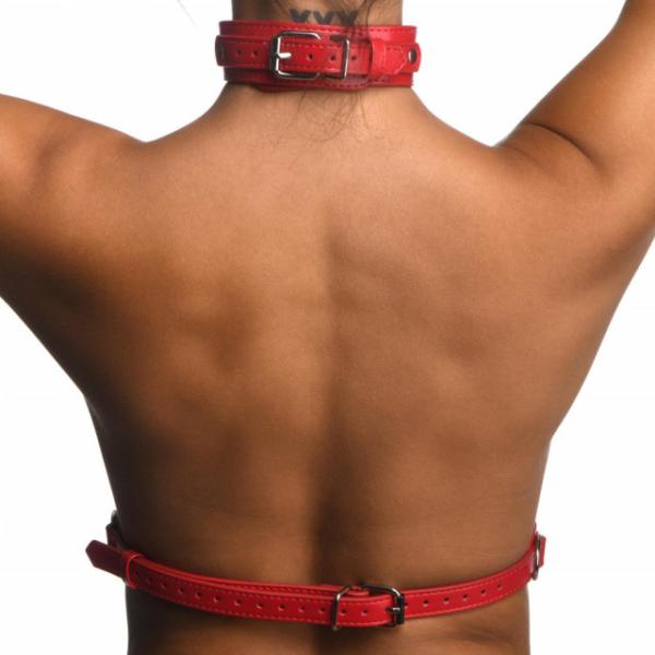 Female Chest Harness M/L -Harnais de Poitrine - Strick – Image 4