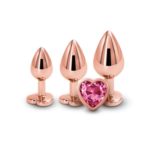 Rear Assets Training Kit Heart - Ensemble de Plugs Anales Ornées d'un Bijou - Ns Novelties – Image 5