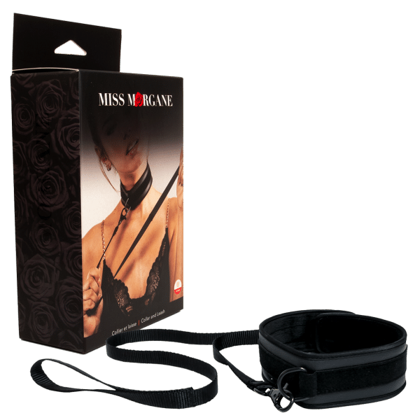 Collar and Leash - Collier et Laisse - Miss Morgane