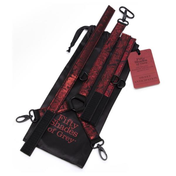 Sweet Anticipation - Collier et Poignets Réversible - 83673 - Fifty Shades of Grey – Image 4