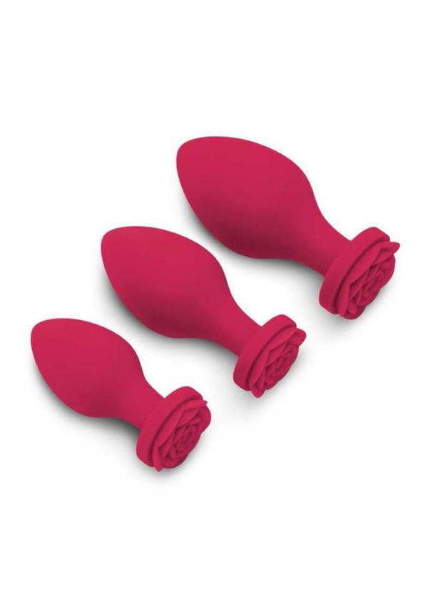 Butt Bouquet Training Set - Ensemble de Plugs Anales - Rosegasm – Image 2