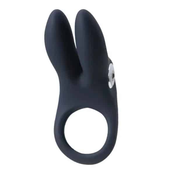 Anneaux Vibrants