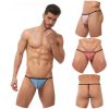 String - Torridz - 87414 - GREGG HOMME