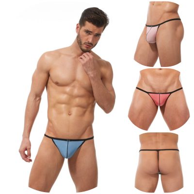 String - Torridz - 87414 - GREGG HOMME