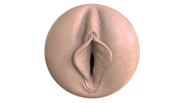 Explorez de nouveaux sommets de plaisir avec le Fleshlight Boost