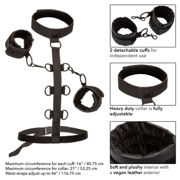 Collar Body Restraint - Boundless - Harnais avec Attaches - CalExotics – Image 5