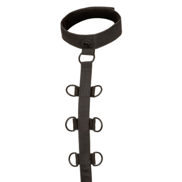 Collar Body Restraint - Boundless - Harnais avec Attaches - CalExotics – Image 2