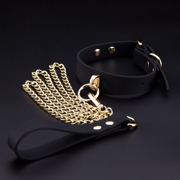 Découvrez l'Élégant Collier avec Laisse en Silicone de Roomfun : Alliant Esthétique et Fonctionnalité