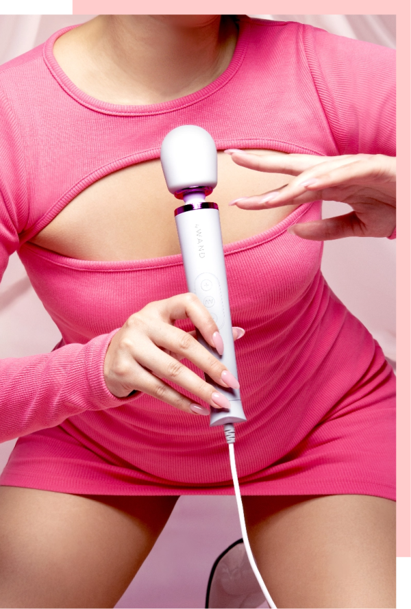 Le Vibromasseur Powerful Petite Plug-In de Le Wand