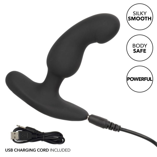 Plongez dans un plaisir décuplé avec la Sonde Rechargeable Curved Probe de CalExotics,