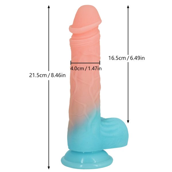 Dimensions parfaites de Mr Vein.
